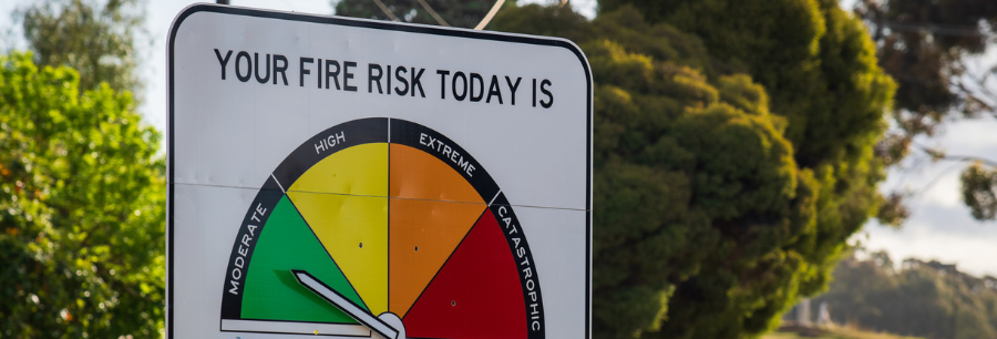 Emerging Risks banner
